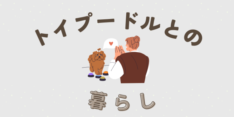 ていねいなくらし
